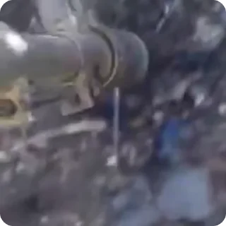 Video sticker 🌟 Свинорез 19 @svrezka2