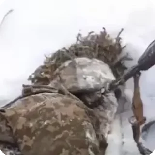 Video sticker 🌟 Свинорез 19 @svrezka2