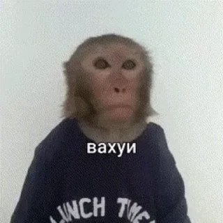 Sticker 🤯 Бибизянки 8 > @bibizyankii