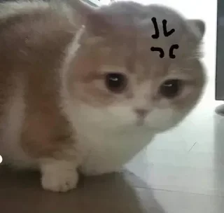 Телеграм стикер ⭐ ❄️ 𝐏𝐨𝐢𝐬𝐨𝐧's pika boo pack