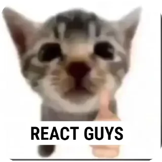 Video sticker 🐱 REACT PACK @ZAMA_FX