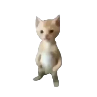 Telegram stiker 🧸 baw