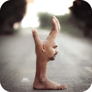 Video sticker ✋ telurhitamberbulu635 (@CalsiBot)