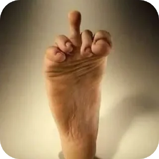 Telegram sticker 🦶 telurhitamberbulu635 (@CalsiBot)