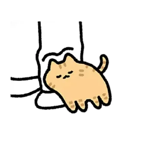 Video sticker 😊 喵合集