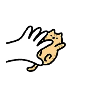 Video sticker 😊 喵合集