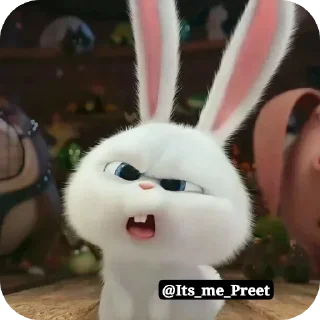 Video sticker 🐱 Snowball_[@Its_me_Preet]