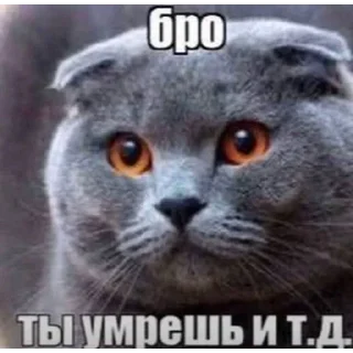 Telegram sticker 😢 Больше стиков тут: @stikery4