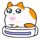 Video sticker 🐱 🔥 @kotletovv ш...