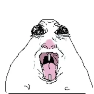 Video sticker 👄 хомяк