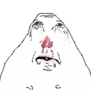 Video sticker 👄 хомяк