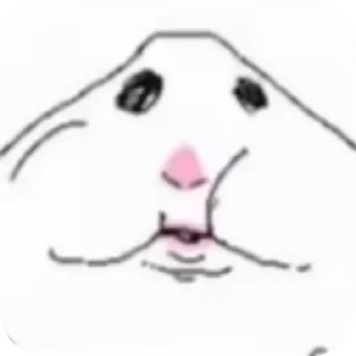 Telegram sticker 👄 хомяк
