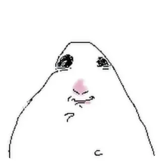 Video sticker 👄 хомяк