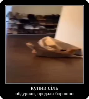 Video sticker 🧂 Сольовик і неформали @solovyy