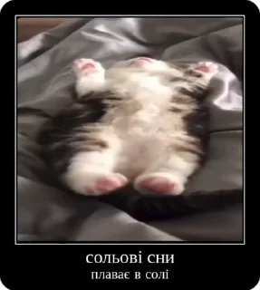 Video sticker 💤 Сольовик і неформали @solovyy