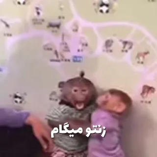 Video sticker 🐵 ATI💕