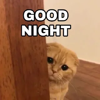 Video sticker 🍁 𝐑ʏᴀɴ [@ItzMe_RyAnn]