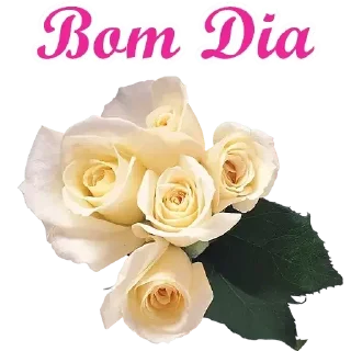 Телеграм стикер ☀ Bom dia tarde noite