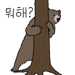 Video sticker ⭐ 듬직한 곰쿤!! @moe_sticker_bot