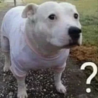 Telegram sticker 🐶 puppy dogs @pieup