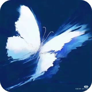 Video sticker 🦋 🩵𝓑𝓵𝓾𝓮