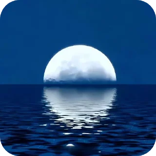 Telegram sticker 🤍 🩵𝓑𝓵𝓾𝓮