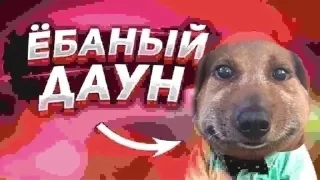 Telegram sticker 🌟 собака :: @fStikBot