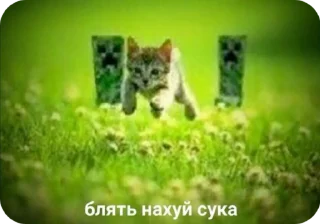 Telegram sticker 🌟 собака :: @fStikBot