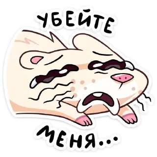 Video sticker 🥴 Нутри от @TgSticker