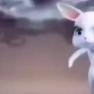 Video sticker 🐰 pasholnahyebok :: @fStikBot