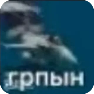 Video sticker 🤣 Дгрдция