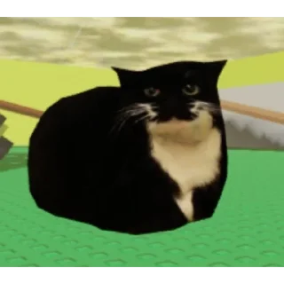 Sticker 🐱 BMcondo2