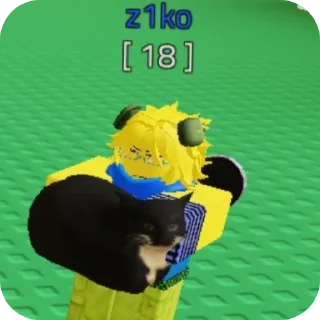 Video sticker 🐱 BMcondo2