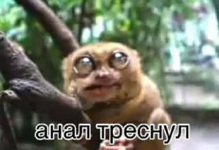 Sticker 🤩 Анал треснул @MoiStikiBot