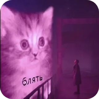 Телеграм стикер 🐱 важное для разговоров @printhell0world