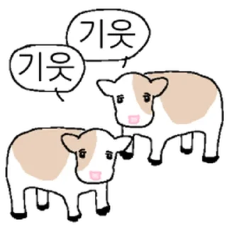 Video sticker ⭐ 호기심 많은 소 @moe_sticker_bot
