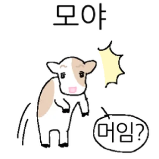 Video sticker ⭐ 호기심 많은 소 @moe_sticker_bot