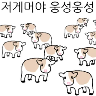 Video sticker ⭐ 호기심 많은 소 @moe_sticker_bot