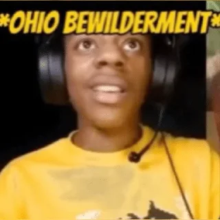 Video sticker 🌟 Ohio emotions
