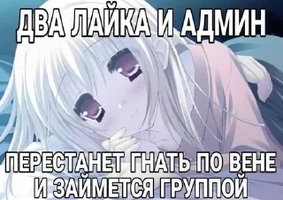 Video sticker 🌟 для тгк @sakynamu
