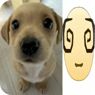 Telegram sticker 😲 tg -> @stcksound