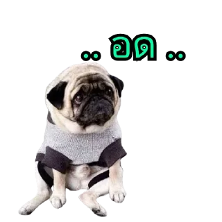 Telegram stiker 😞 Yuki