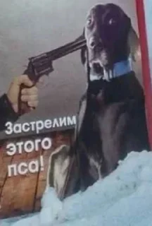 Telegram sticker 💯 Больше стиков тут: @stikery4