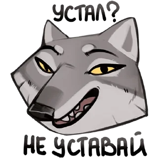 Video sticker 🤩 АУФ @ckladstikerov7
