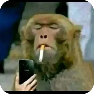 Telegram sticker ✋ Fweliton