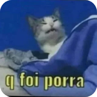 Video sticker 🐱 Fweliton