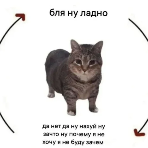 Телеграм стикер 😐 Супер мега набор @LogovoFoxa