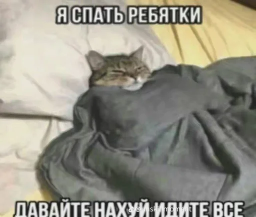 Телеграм стикер 🤩 Супер мега набор @LogovoFoxa