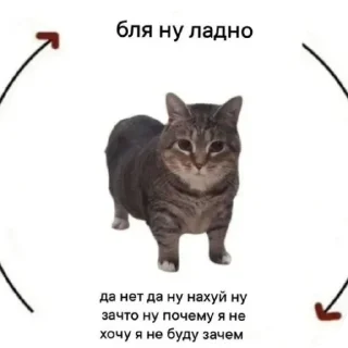 Video sticker 😐 Супер мега набор @LogovoFoxa