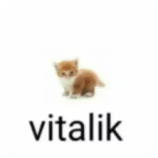 Telegram sticker 🐱 ЧIНАЗЕС!!! :: @fStikBot